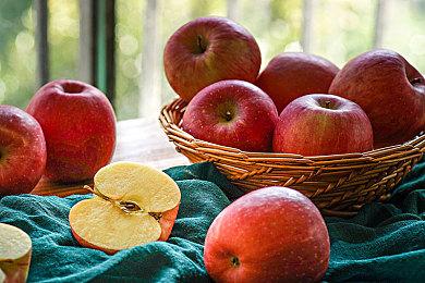 《协律01：新生活》Steam页面上线 支持简体中文